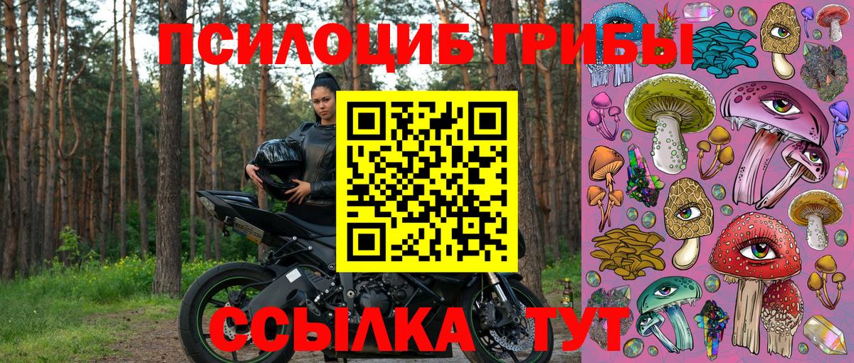 Псилоцибиновые грибы прущие грибы  Галлюциногенные грибы GOLDEN TEACHER  Славгород  Вход с VPN 